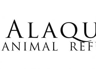 Alaqua Animal Refuge Pet of the Week “Nickel”
