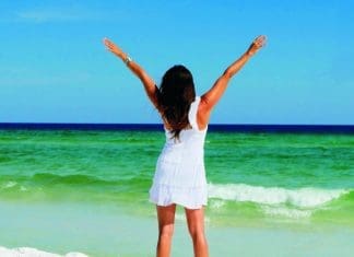 Lotus Life – Gratitude