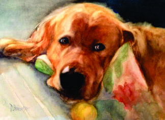 Spotlight on The Donna Burgess Art Gallery