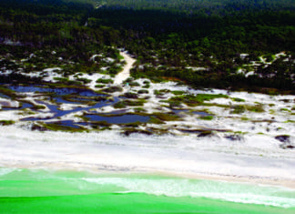 March Happenings at Topsail Preserve State Park
