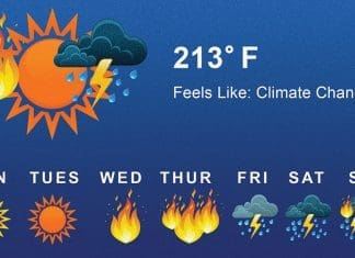 What’s Hot, What’s Not