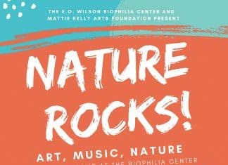 Biophilia MKAF Nature Rocks 2019