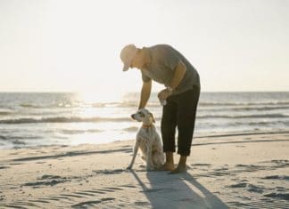 Dog-Harmony Offers Free Training Advice for Rescued Pets