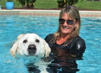 Dog Days of Summer: Cool Spots for Hot Dogs Dog Swimming