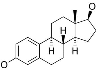 Men Need Estrogen? Of Course They Do!