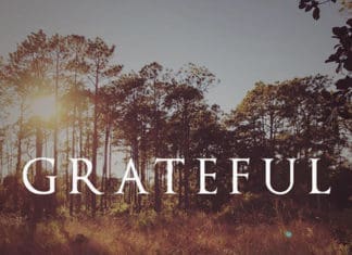 sean dietrich grateful