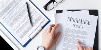 Business woman examining insurance policy