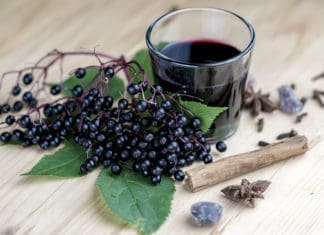 Ask Dr. Marty: Immune System Strength