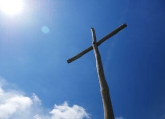A Pastor’s Ponderings: The Parable of the Fig Tree