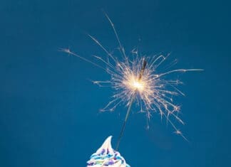 From the Publisher: Happy Birthday, Destin Life!