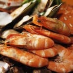 austons shrimp