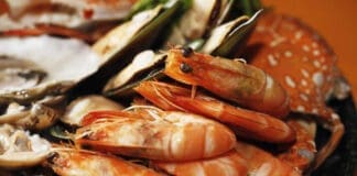 austons shrimp