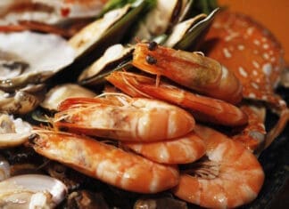 Destin Dining Guide September 2020: Football Season is ON! austons shrimp