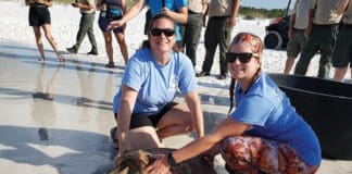 Gulfarium CARE