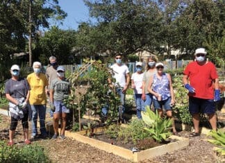 Flowers, Veggies, Butterflies, Bees, and Other Gardeners. Peace.