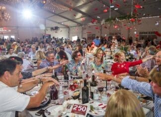 Record-Breaking DCWAF Auction Benefits 15 Local Children’s Charities