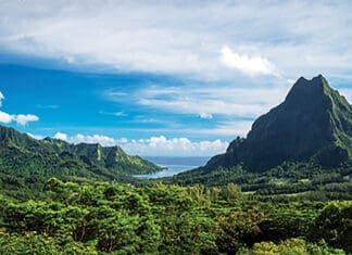 Current Demand: Summer Escapes and Travel Beyond Have Travel Memories