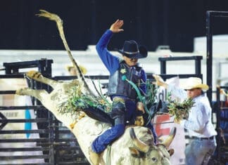 Dust Off Your Boots! It’s Almost Time to Rodeo! Westonwood Ranch Rodeo bull