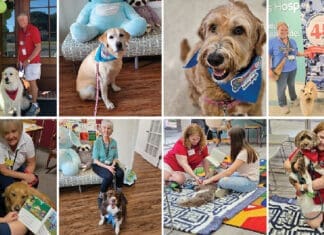 Thanks to Dog-Harmony, More Tails Are Wagging Dog Harmony Collage