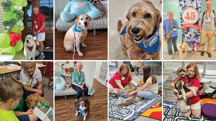 Dog Harmony Collage