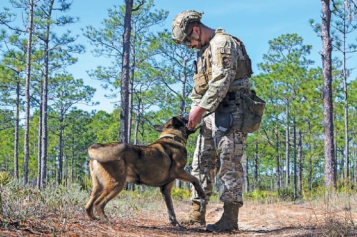 Paws that Protect 240130 F QE874 1186