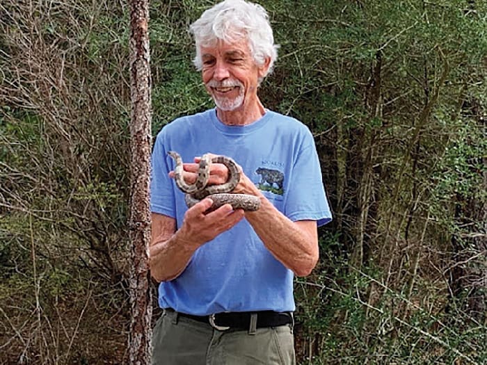 Turtle Bob w snake