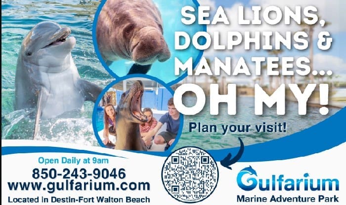gulfarium gulfarium