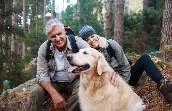 iStock 1396504295 iStock 1396504295