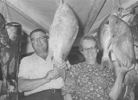 More Snapper