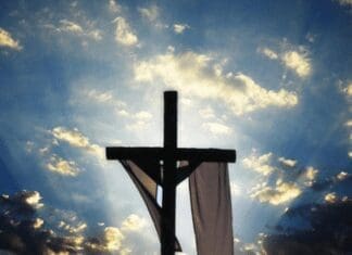 A Pastor’s Ponderings: Up From the Grave