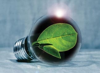 Tips to Reduce Household Energy Use energy savings light bulb w leaf