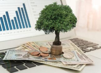 Insights for Investors: Estate Planning – What are the Basics Everyone Should Know? Insights for Investors: Estate Planning – What are the Basics Everyone Should Know?