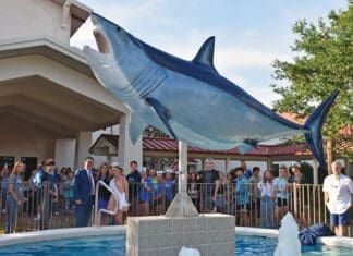 Destin High Athletics to Host First Foolish 5K Fun Run/Walk