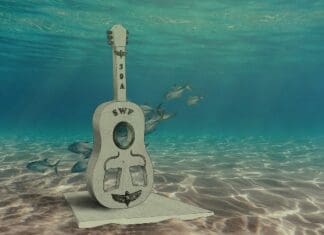 Artists Revealed For 2022 Underwater Installation