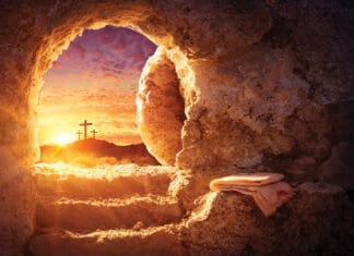 Easter Reflections: Death Gives Way to Life