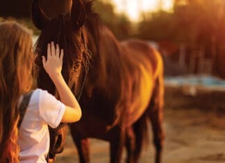 Improving Mental Health with Horses