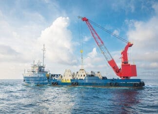 Limestone Coral Reef Deployed in Gulf