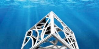 Underwater Museum of Art 2023 Installation