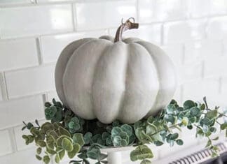 Decorating your Home for the Fall Interior Design Fall