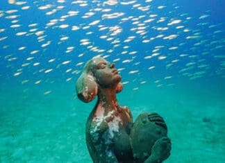 Underwater Museum of Art Receives Prestigious Award Underwater Museum of Art statue