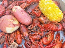Destin Rotary Crawfish