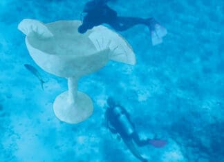 Diving the Expanded Underwater Museum Expanded Underwater Museum