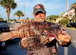 Destin Gears Up for the 2025 Lionfish Festival: A Celebration with a Purpose