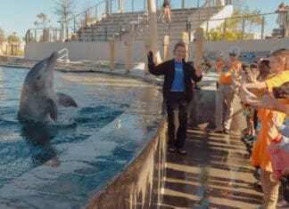New Encounters and Old Friends: A Summer to Remember at Gulfarium