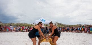Gulfarium Turtle Release 2025 Aug